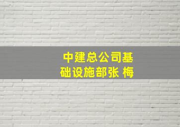 中建总公司基础设施部张 梅